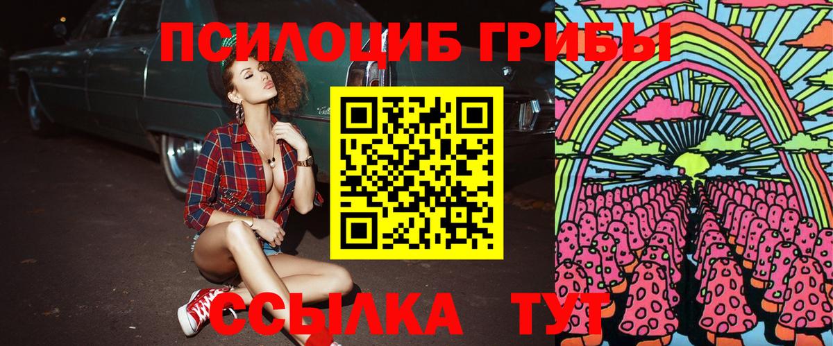 Качканар  Псилоцибиновые грибы Cubensis  Вход с VPN 